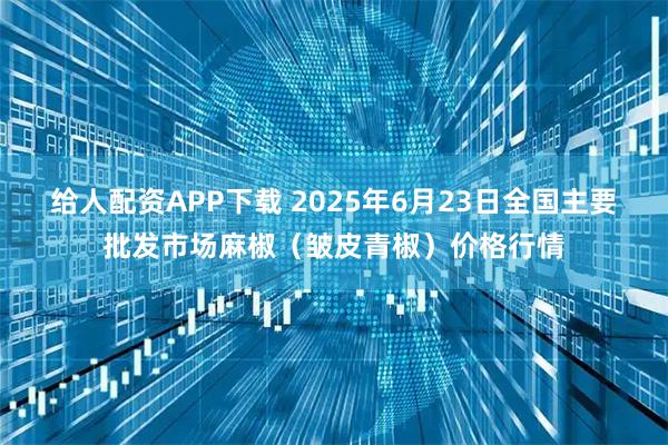 给人配资APP下载 2025年6月23日全国主要批发市场麻椒（皱皮青椒）价格行情