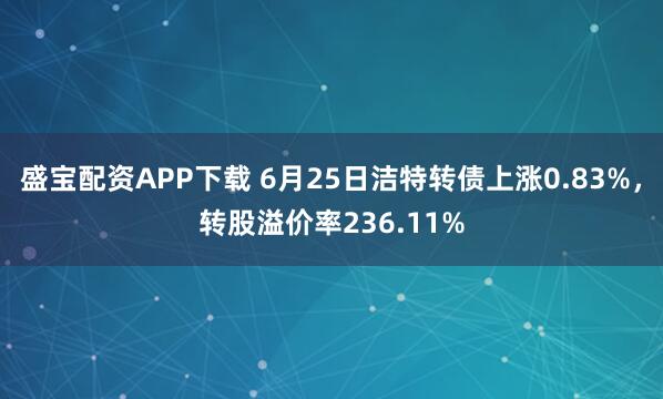 盛宝配资APP下载 6月25日洁特转债上涨0.83%，转股溢价率236.11%