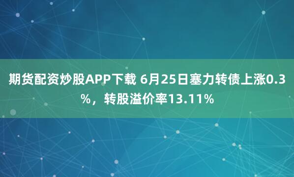 期货配资炒股APP下载 6月25日塞力转债上涨0.3%，转股溢价率13.11%