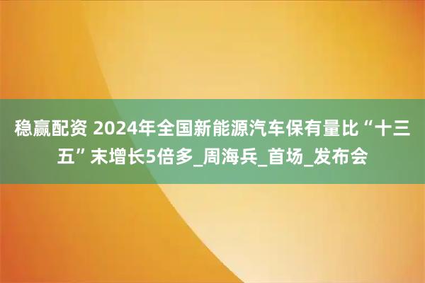 稳赢配资 2024年全国新能源汽车保有量比“十三五”末增长5倍多_周海兵_首场_发布会