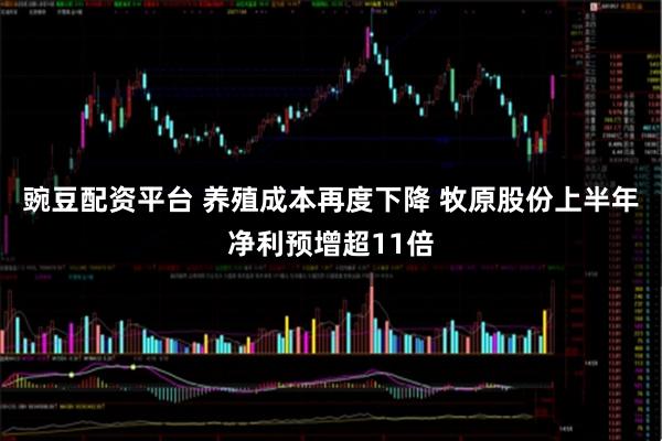 豌豆配资平台 养殖成本再度下降 牧原股份上半年净利预增超11倍