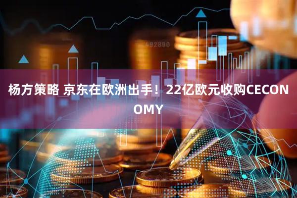 杨方策略 京东在欧洲出手！22亿欧元收购CECONOMY