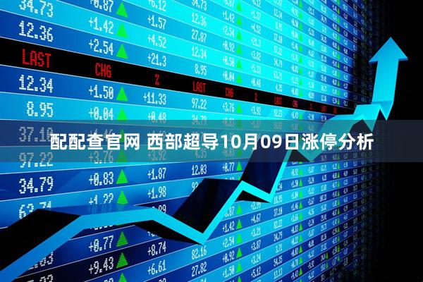 配配查官网 西部超导10月09日涨停分析