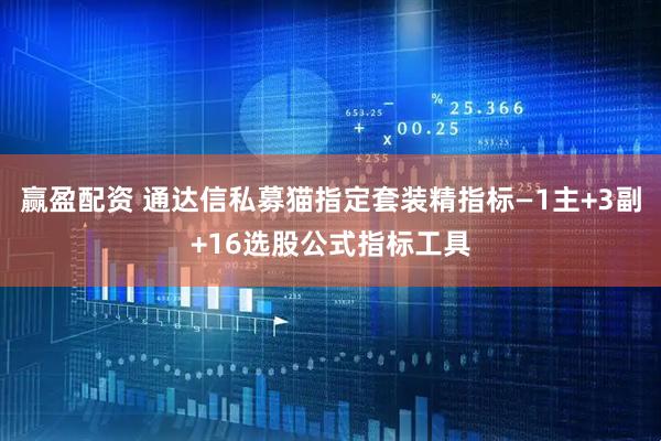 赢盈配资 通达信私募猫指定套装精指标—1主+3副+16选股公式指标工具
