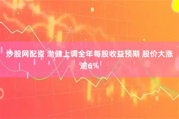 炒股网配资 渤健上调全年每股收益预期 股价大涨逾6%
